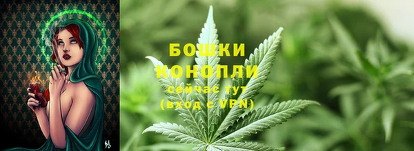 ГАЛЛЮЦИНОГЕННЫЕ ГРИБЫ Сатка