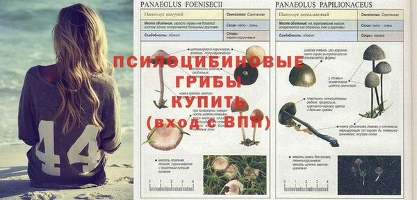гашиш Аркадак