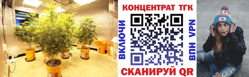 ТГК Wax  Мамадыш 