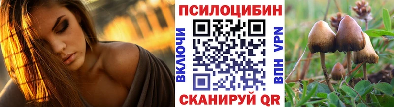 darknet наркотические препараты  Мамадыш  Псилоцибиновые грибы Psilocybe 